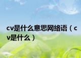 cv是什么意思網(wǎng)絡(luò)語（cv是什么）