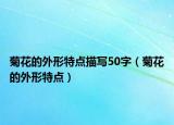 菊花的外形特點(diǎn)描寫(xiě)50字（菊花的外形特點(diǎn)）
