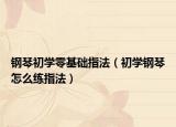 鋼琴初學零基礎指法（初學鋼琴怎么練指法）