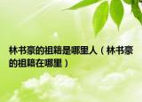 林書(shū)豪的祖籍是哪里人（林書(shū)豪的祖籍在哪里）