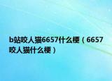 b站咬人貓6657什么梗（6657咬人貓什么梗）