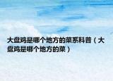 大盤(pán)雞是哪個(gè)地方的菜系科普（大盤(pán)雞是哪個(gè)地方的菜）