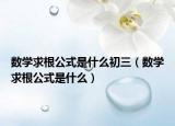 數(shù)學(xué)求根公式是什么初三（數(shù)學(xué)求根公式是什么）