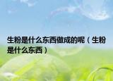生粉是什么東西做成的呢（生粉是什么東西）