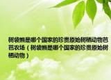 樹袋熊是哪個(gè)國(guó)家的珍貴原始樹棲動(dòng)物芭芭農(nóng)場(chǎng)（樹袋熊是哪個(gè)國(guó)家的珍貴原始樹棲動(dòng)物）