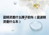 藍(lán)精靈是什么牌子的車（藍(lán)波精靈是什么車）
