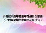 小時候染指甲的指甲花是什么東西（小時候染指甲的指甲花是什么）