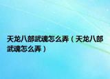 天龍八部武魂怎么弄（天龍八部武魂怎么弄）
