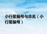 小行星編號(hào)與命名（小行星編號(hào)）