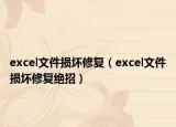excel文件損壞修復（excel文件損壞修復絕招）