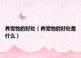 養(yǎng)寵物的好處（養(yǎng)寵物的好處是什么）