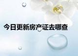 今日更新房產(chǎn)證去哪查