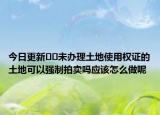 今日更新??未辦理土地使用權(quán)證的土地可以強(qiáng)制拍賣嗎應(yīng)該怎么做呢