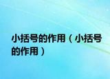 小括號的作用（小括號的作用）