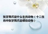 張牙舞爪是什么生肖動物（十二生肖中張牙舞爪是哪些動物）