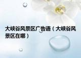 大峽谷風(fēng)景區(qū)廣告語(yǔ)（大峽谷風(fēng)景區(qū)在哪）