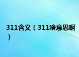 311含義（311啥意思?。? /></span></a>
                        <h2><a href=
