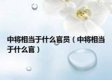 中將相當于什么官員（中將相當于什么官）