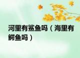 河里有鯊魚(yú)嗎（海里有鱷魚(yú)嗎）