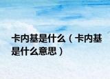 卡內(nèi)基是什么（卡內(nèi)基是什么意思）