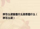 陟怎么讀音是什么意思是什么（陟怎么讀）