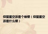 仰望星空派是個啥梗（仰望星空派是什么梗）