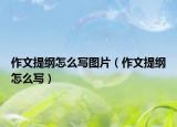 作文提綱怎么寫(xiě)圖片（作文提綱怎么寫(xiě)）