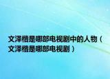 文澤楷是哪部電視劇中的人物（文澤楷是哪部電視?。? /></span></a>
                        <h2><a href=