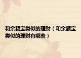 和余額寶類似的理財(cái)（和余額寶類似的理財(cái)有哪些）