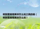 樹(shù)新蜜蜂用英語(yǔ)怎么說(shuō)之類的梗（樹(shù)新蜜蜂用英語(yǔ)怎么說(shuō)）