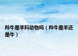 羚牛是羊科動(dòng)物嗎（羚牛是羊還是牛）