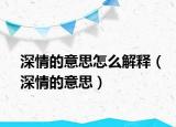 深情的意思怎么解釋（深情的意思）