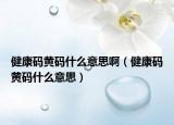 健康碼黃碼什么意思啊（健康碼黃碼什么意思）