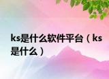ks是什么軟件平臺（ks是什么）