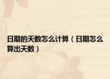 日期的天數(shù)怎么計(jì)算（日期怎么算出天數(shù)）