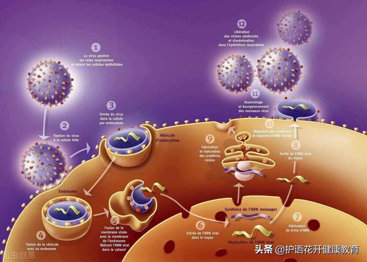 亂用抗生素會(huì)帶來什么樣的危害？