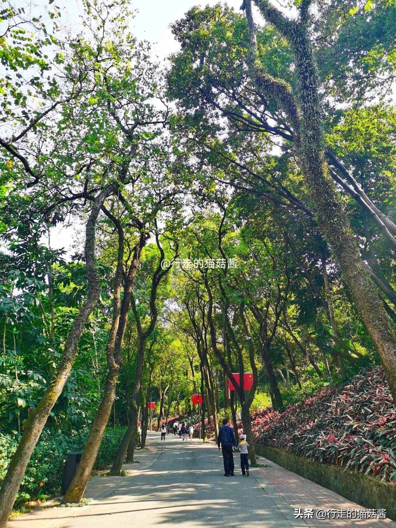 廣州越秀公園游覽路線推薦，深度游玩拍照攻略