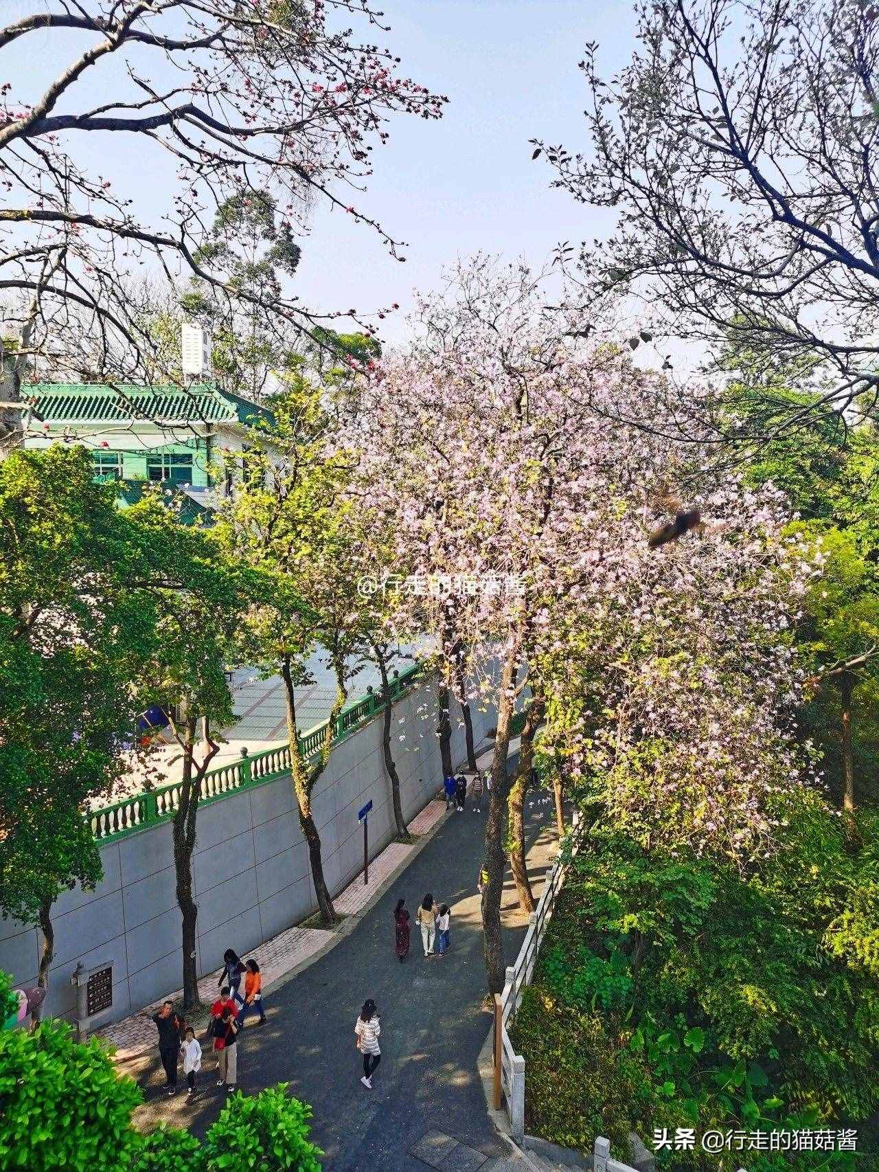 廣州越秀公園游覽路線推薦，深度游玩拍照攻略