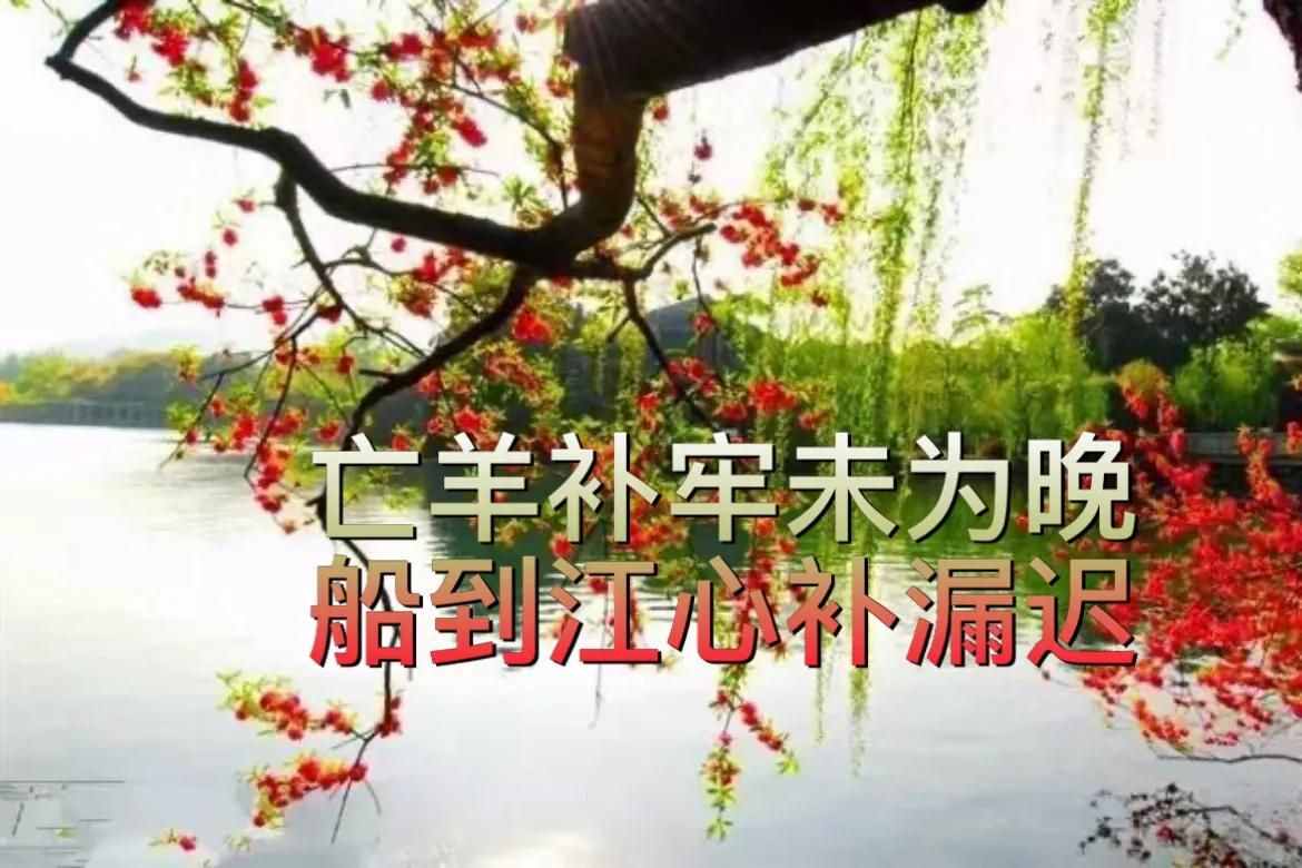 小故事大道理：亡羊補(bǔ)牢未為晚，船到江心補(bǔ)漏遲