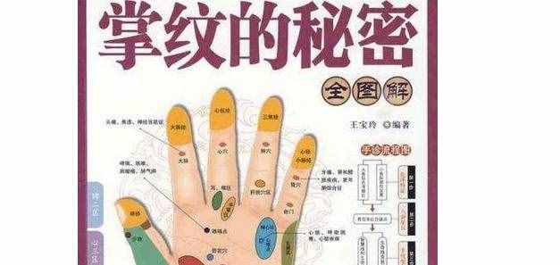 掌紋的秘密全圖解的含義介紹