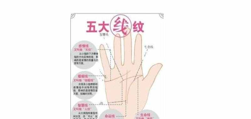 掌紋的秘密全圖解的含義介紹