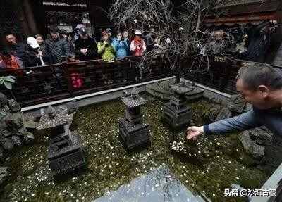 “祈福坑”，一個古錢幣圈奉若神明的存在！帶你揭開它的神秘面紗