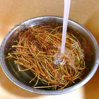 一定要收藏的靈芝雞骨草豬橫脷湯，簡單零失敗