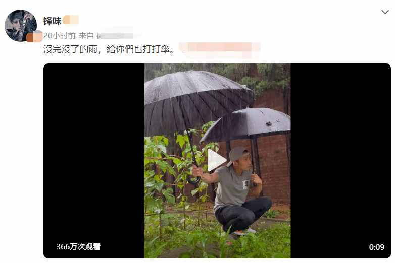 41歲謝霆鋒近況曝光，穿拖鞋蹲在菜地一臉無奈，為空心菜打傘