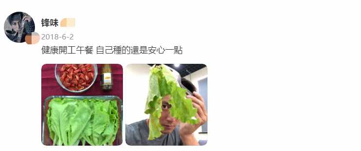 41歲謝霆鋒近況曝光，穿拖鞋蹲在菜地一臉無奈，為空心菜打傘
