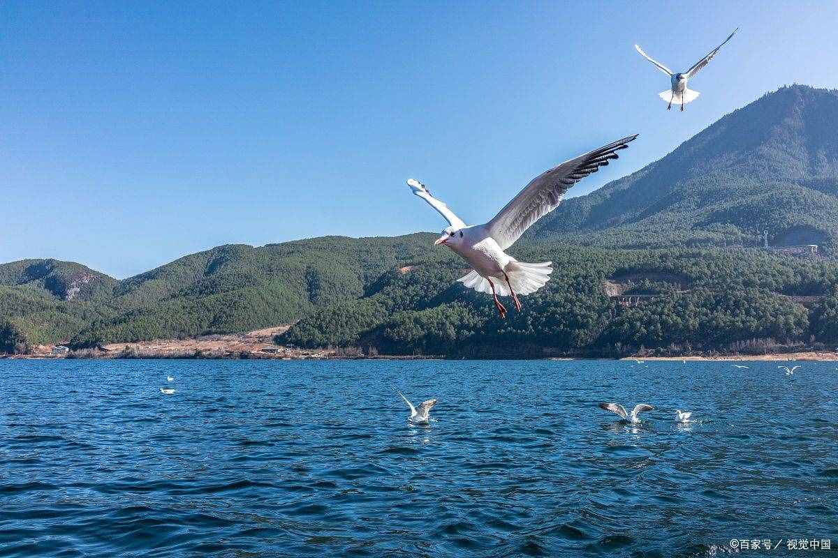 國內(nèi)最美的十大湖泊，你去過幾個？