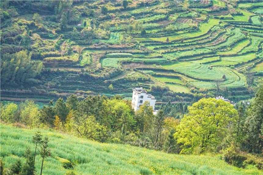 江西婺源旅游，推薦你最值得打卡的六個(gè)景點(diǎn)，每一個(gè)都很美