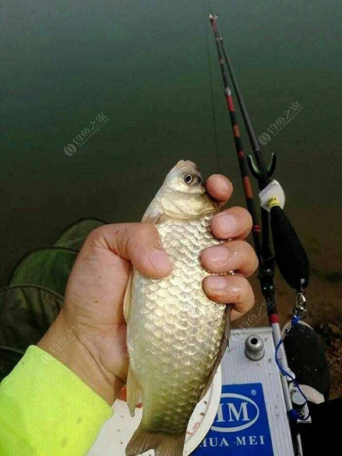 釣魚時(shí)需要注意的小細(xì)節(jié)，這些一定要知道