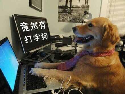 狗屁不通文章生成器火了！聽說李小璐都在用？