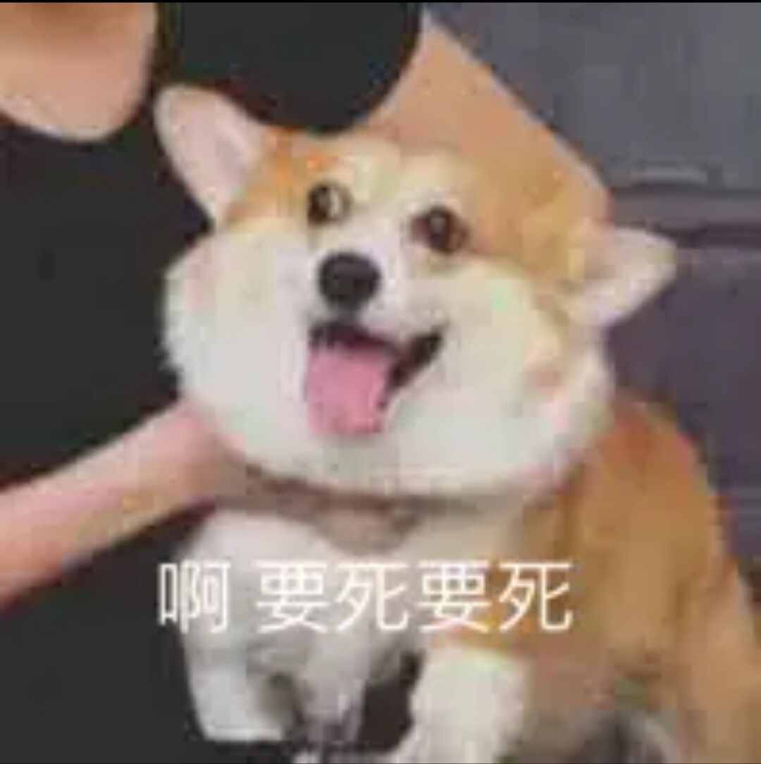 狗屁不通文章生成器火了！聽說李小璐都在用？